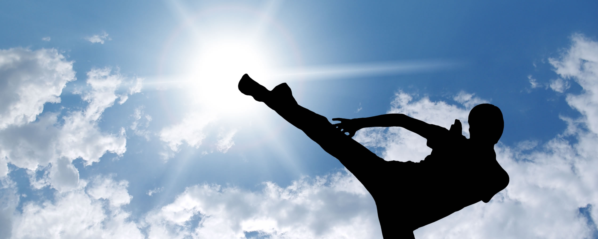 Using martial arts skills to drive business success